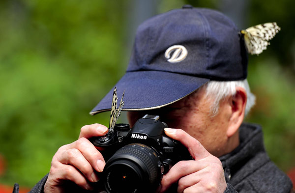 Deux papillons sur la casquette et l'appareil photo d'un visiteur du Jardin botanique de Beijing, le 15 avril 2013. [Photo/Asianewsphoto]