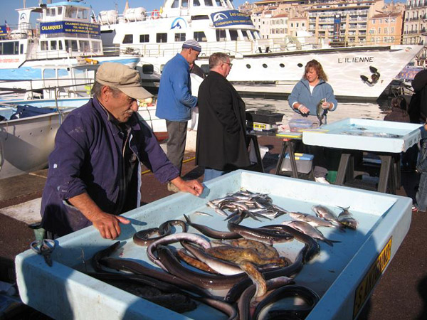 Le marché aux poissons sur le Vieux-Port de Marseille (3)