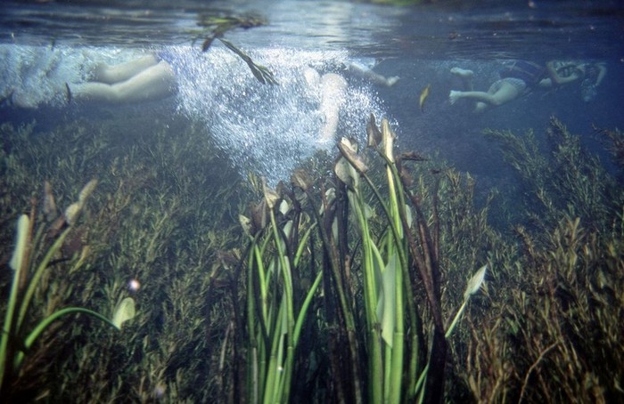 Les 33 destinations où l'eau est la plus limpide (24)