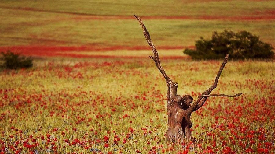 Quand l'art corporel ne fait qu’un avec la Nature