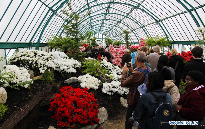 EN IMAGES: Visite des Serres royales de Laeken à Bruxelles