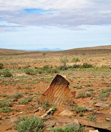 Un morceau de grès à la cha?ne de Flinders, Australie