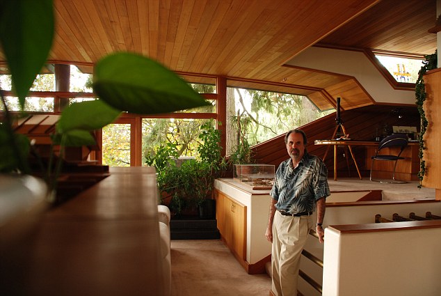 Photos : une maison écologique perdue dans la forêt