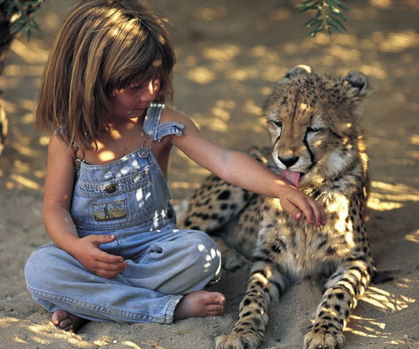 En images : histoire de Tippi Degré, l'enfant qui a grandi auprès des animaux (2)