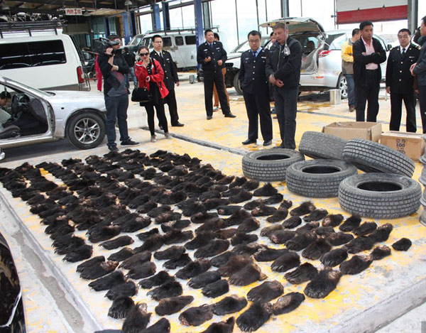 Les douanes chinoises saisissent 213 pattes d'ours