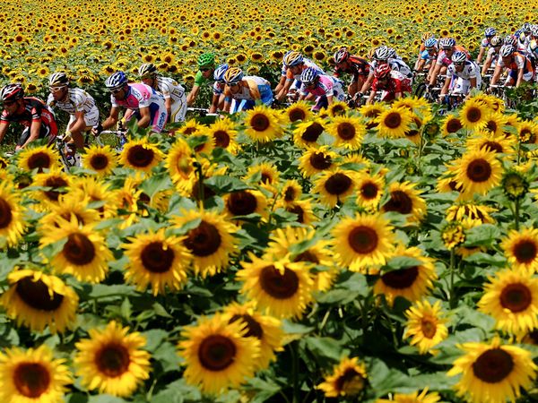 National Geographic : un tour de France en 19 photos (13)