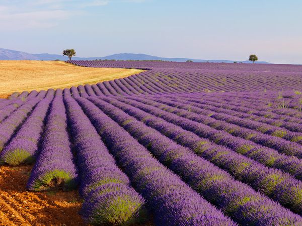 National Geographic : un tour de France en 19 photos (3)