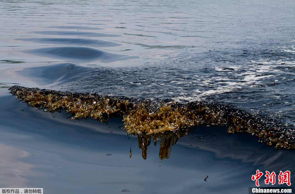 Mexique : 500 tonnes de poissons morts dans des eaux polluées (3)