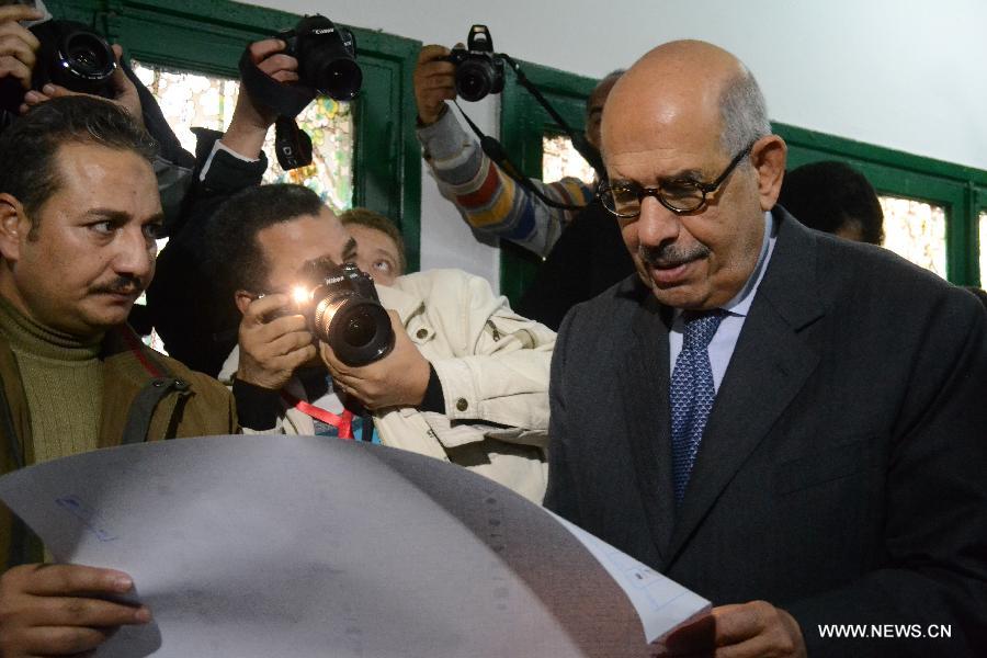 Egypte : ElBaradei n'est pas encore nommé Premier ministre