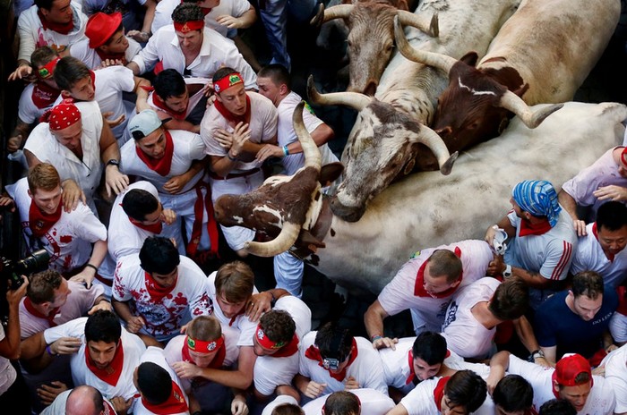 La folie de la San Fermín s'empare de Pampelune (12)