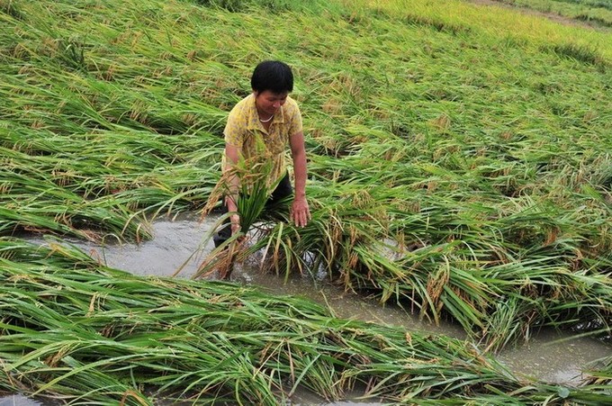 Chine : le typhon Soulik fait trois morts au Guangdong (2)