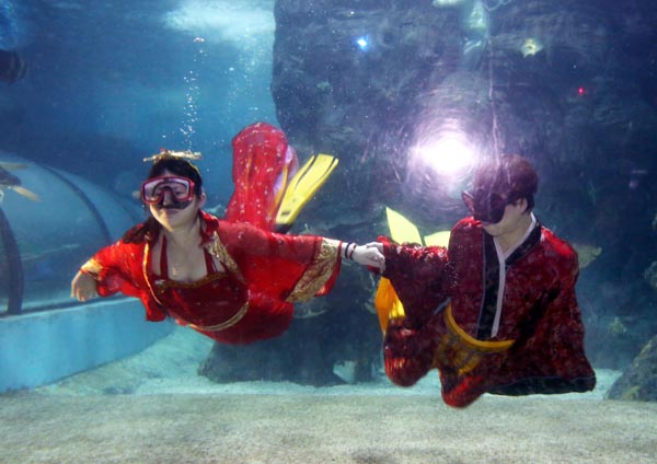 Des nageurs chinois portent des habits de mariage traditionnel, lors d'un défilé de mode sous-marin qui s'est tenu à l'Aquarium de Zuohai Fuzhou, dans la province du Fujian, le 17 juillet 2013. [Photo: Yang E'nuo/Asianewsphoto]