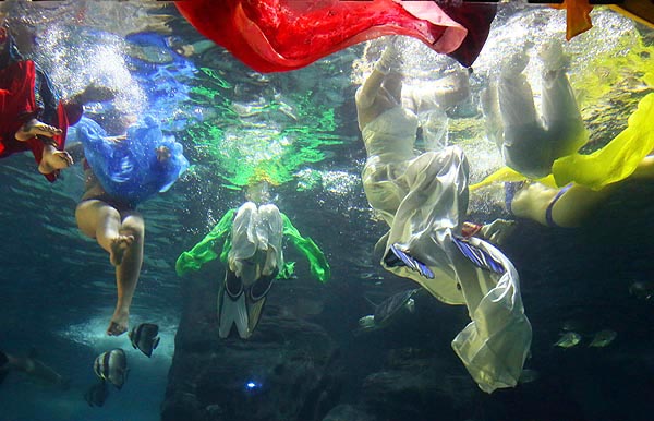 Exécution d'un ballet sous-marin à l'Aquarium de Zuohai à Fuzhou, la province du Fujian, le 17 juillet 2013. [Photo: Yang E'nuo/Asianewsphoto]