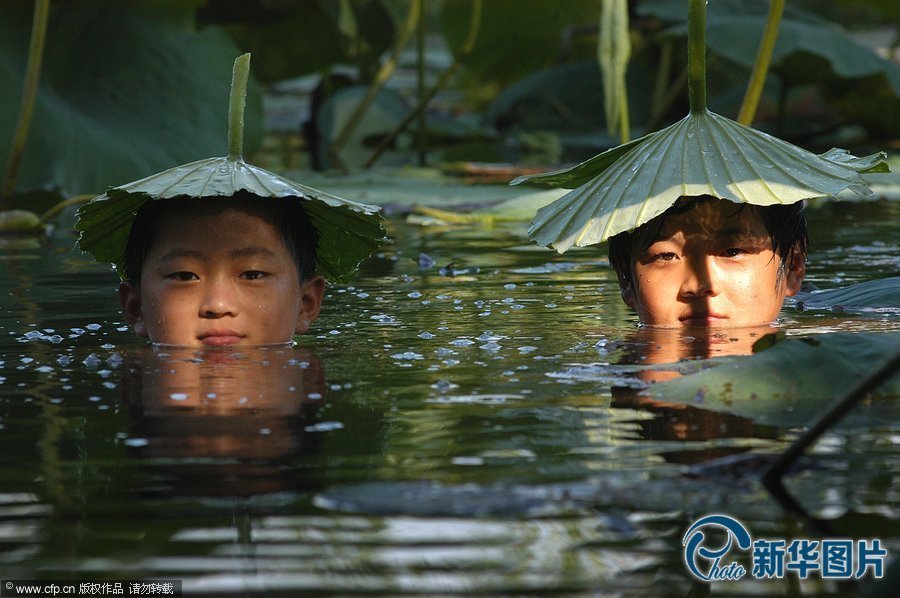 L'ombrelle en feuille de lotus