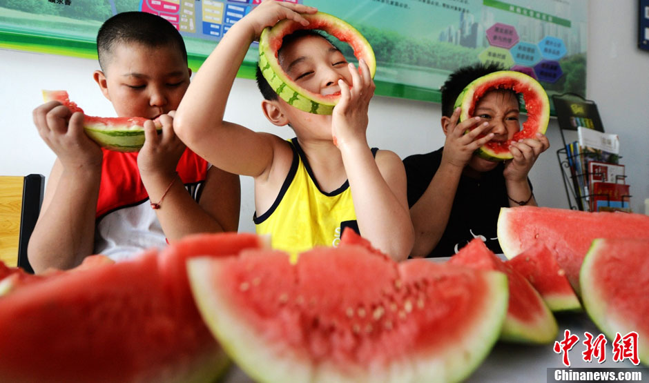 Des melons d'eau à déguster pour accueillir le début de l'automne (3)