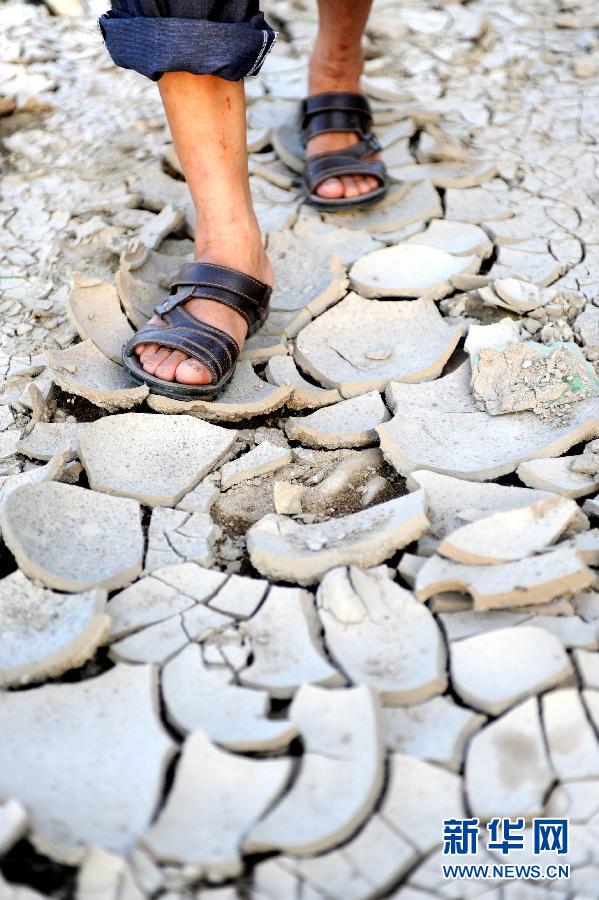 Chine : 15 journées de canicule consécutives, du jamais vu! (6)