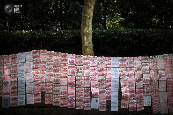 A Shanghai, des informations personnelles sont affichées en public pour pouvoir trouver l'ame soeur. 