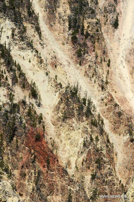 Découvrez la beauté du Parc national de Yellowstone aux Etats-Unis (4)