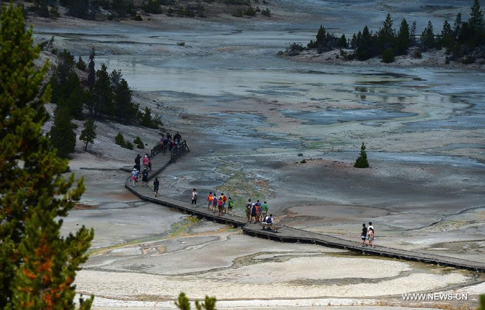 Découvrez la beauté du Parc national de Yellowstone aux Etats-Unis