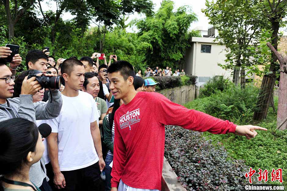 Jeremy Lin rend visite aux pandas de Chengdu  (5)