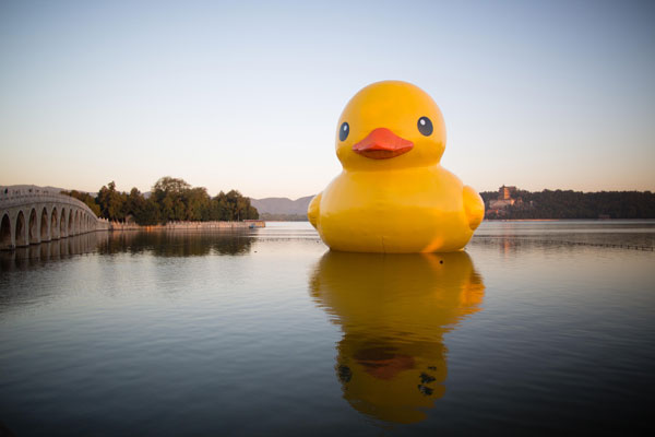 Le canard géant en plastique est exposé au Palais d'Eté de Beijing, le 26 septembre 2013. [ Mao Yanzheng/Asianewsphoto ]