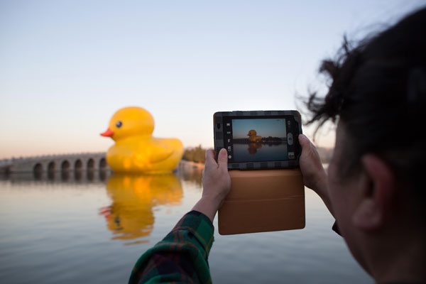 Le célèbre canard jaune de 18 mètres de haut, s'est retrouvé jeudi dans l'ambiance de l'ancien Palais d'Eté de Beijing, pour y être exposé jusqu'au 26 octobre.