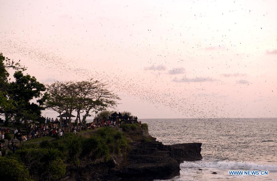 La beauté de l'?le de Bali en photos (6)