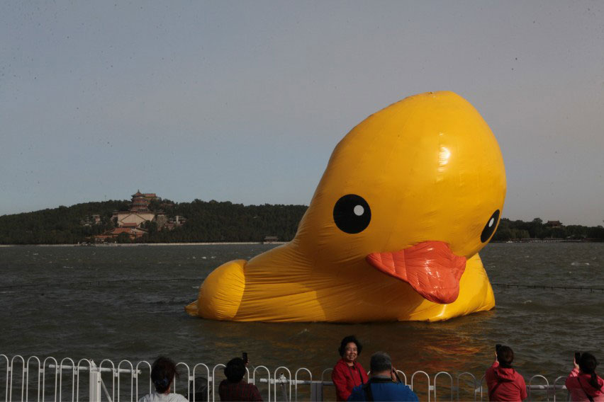 Le canard jaune géant à plat au Palais d'Eté