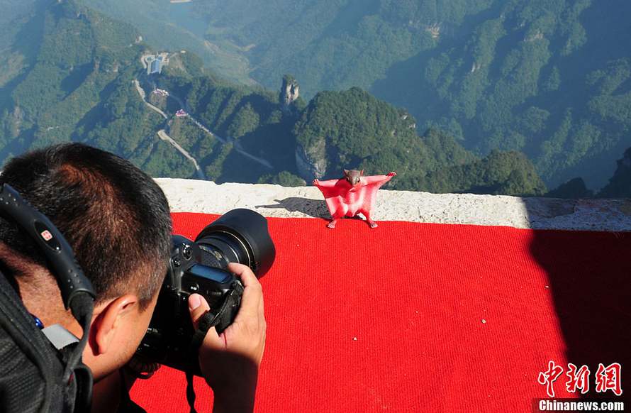 Cl?ture du 2e Championnat du monde de Wingsuit WWL à Zhangjiajie (11)