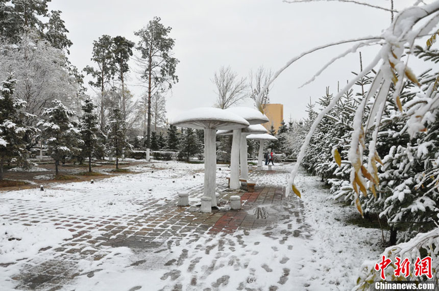 Météo: la neige arrive dans le nord de la Chine !  (4)