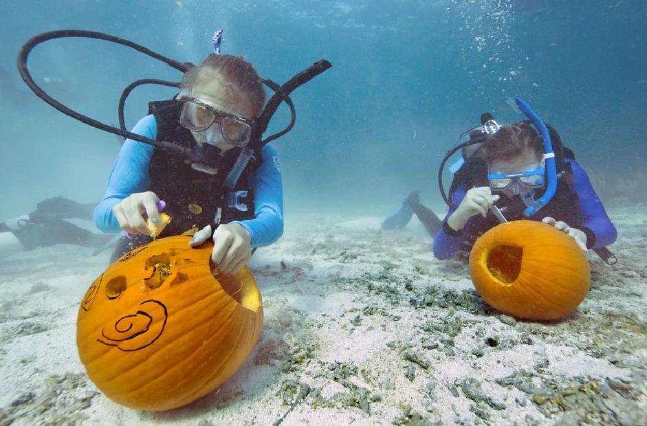 Samedi 19 octobre 2013, Deux plongeurs sculptent des Jack-o-lanternes pendant un concours se déroulant dans le sanctuaire Marin National des Florida Keys (au large de Key Largo en Floride). Photo fournie par le bureau de presse de Florida Keys, où près de trente personnes ont participé à cet événement décalé par rapport aux traditionelles festivités d'Halloween. 