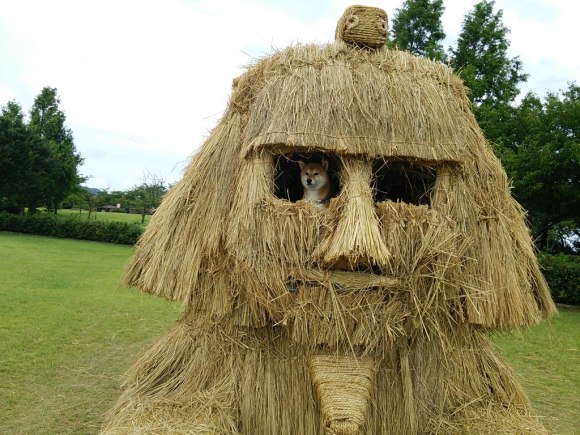 Japon : des sculptures en paille de riz pour la fête de la Moisson (4)