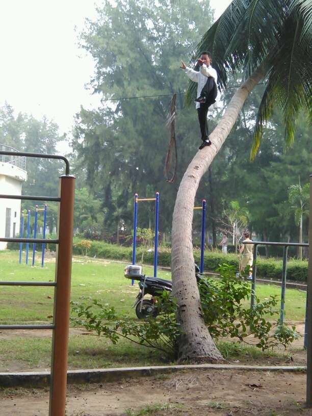 Un homme qui pratique le Kung-fu sur un cocotier (6)