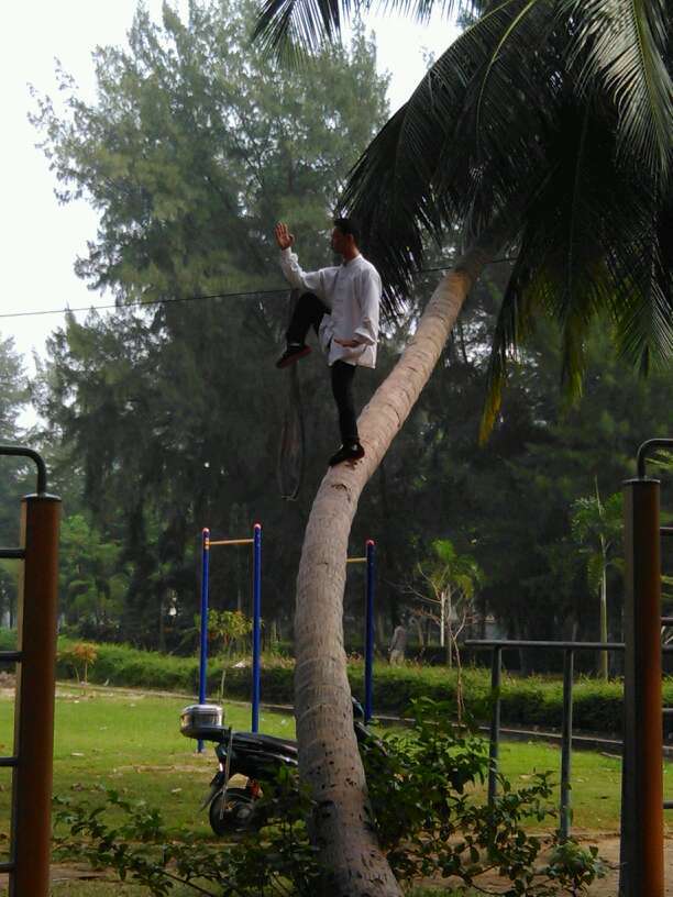 Un homme qui pratique le Kung-fu sur un cocotier (5)