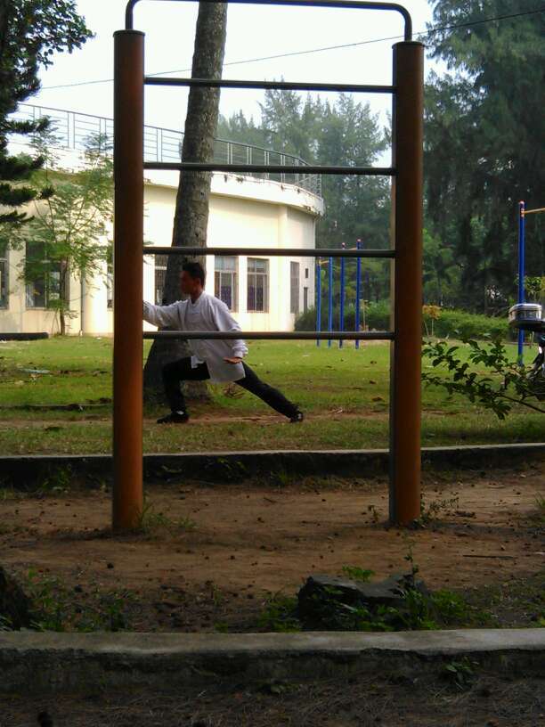 Un homme qui pratique le Kung-fu sur un cocotier (7)