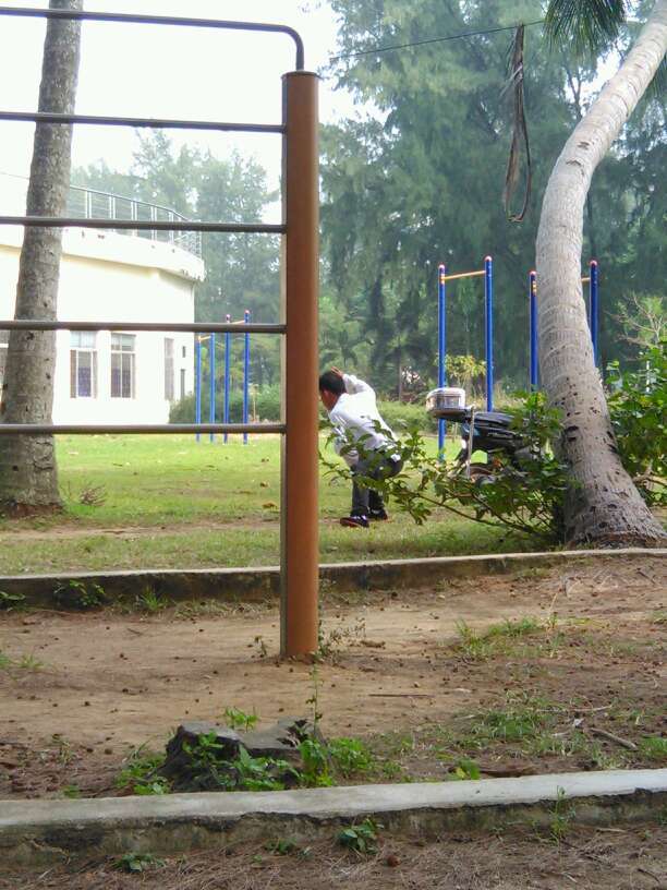 Un homme qui pratique le Kung-fu sur un cocotier (8)