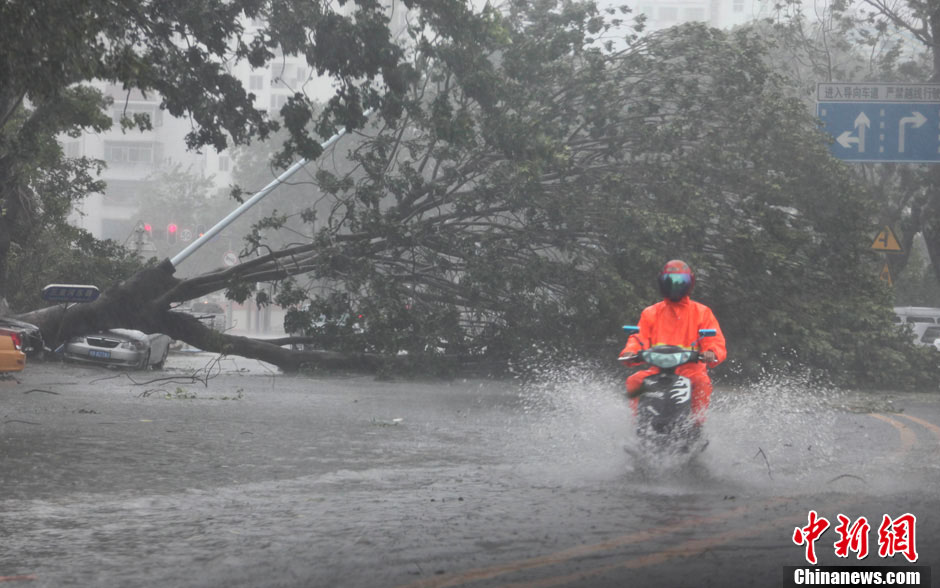 Typhoon Haiyan. Le super-typhon Haiyan, de force 5, a touché les Philippines vendredi 8 novembre. Plusieurs centaines de milliers de Philippins se retrouvent sans abri. Après le passage sur le Vietnam, le super-typhon Haiyan a touché la c?te sud de la Chine lundi matin, avec des vents forts et apportant des trombes d'eau.Plusieurs personnes ont trouvé la mort dans la province chinoise de Hainan. (Photo: news.cn/Chinanews.cn)