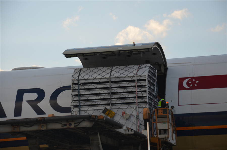 L'avion transportant 23 girafes arrive à l'aéroport international Changshui à Kunming, la province du Yunnan, le 26 novembre 2013. [Photo : Hu Yongqi/chinadaily.com.cn] 