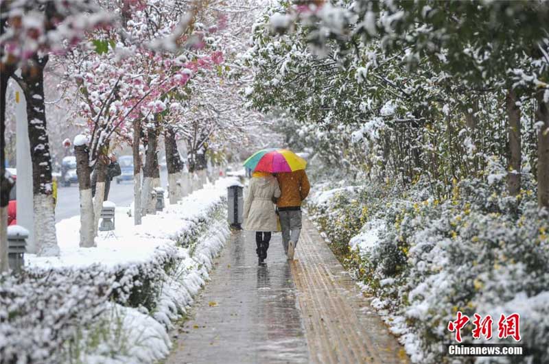 Kunming : rares chutes de neige sur la ? ville du printemps éternel ? (5)