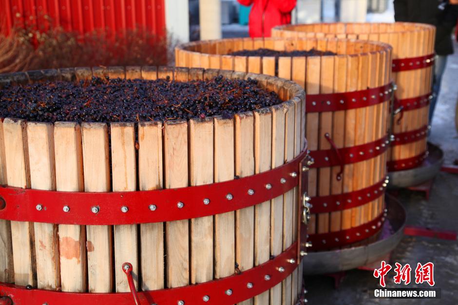 Découvrez l'usine de fabrication du vin de glace (9)