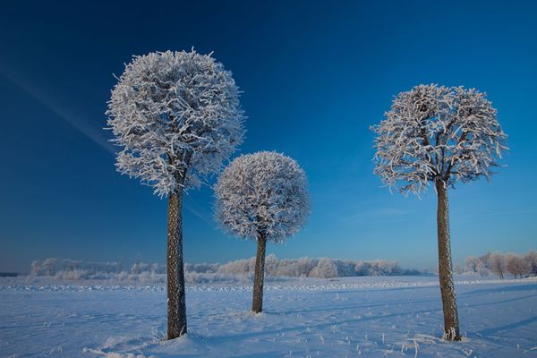 EN IMAGES: magnifiques paysages de neige (21)