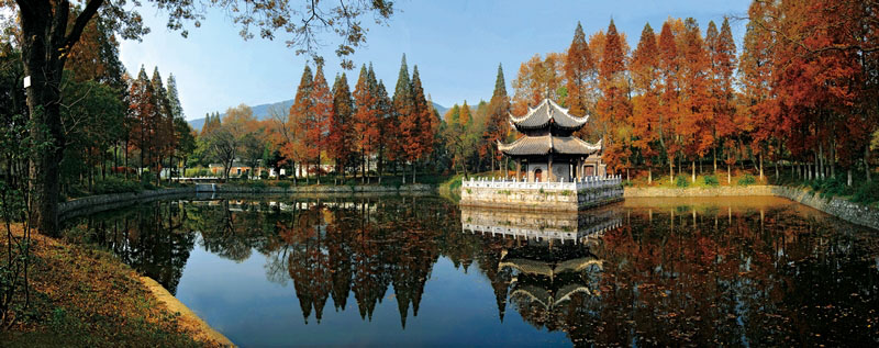 L'Etang de la Famille Xi