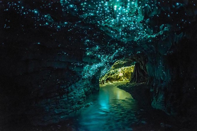 Waitomo Glowworm Caves, Nouvelle-Zélande