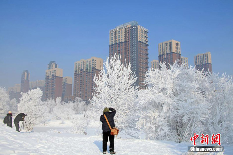 Jilin : la beauté glacée des rives du fleuve Songhua