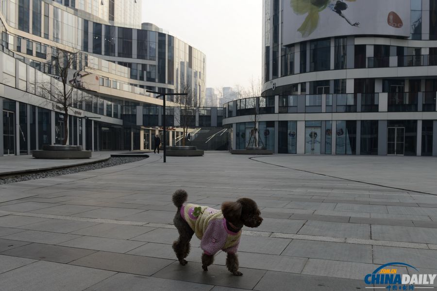 Beijing se vide d'environ 9 millions de personnes pendant la fête du Printemps (3)