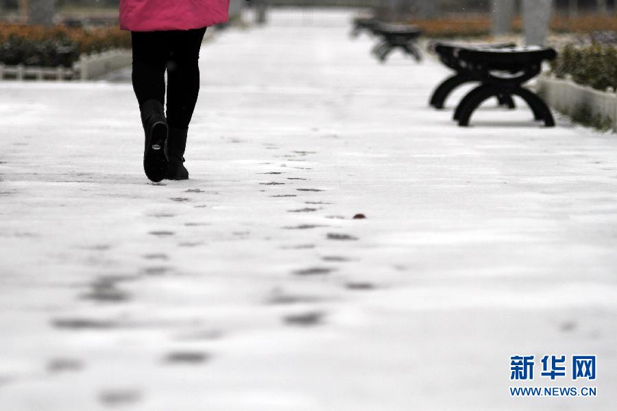 Des tempêtes de neige perturbent le retour des vacanciers chinois (8)