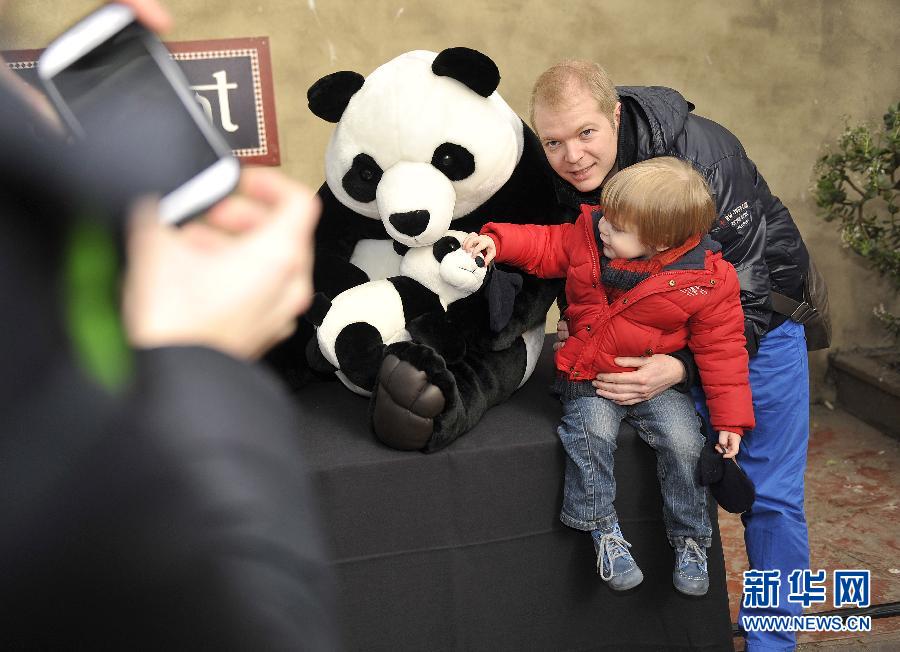 Les pandas re?us comme des rockstars en Belgique (5)