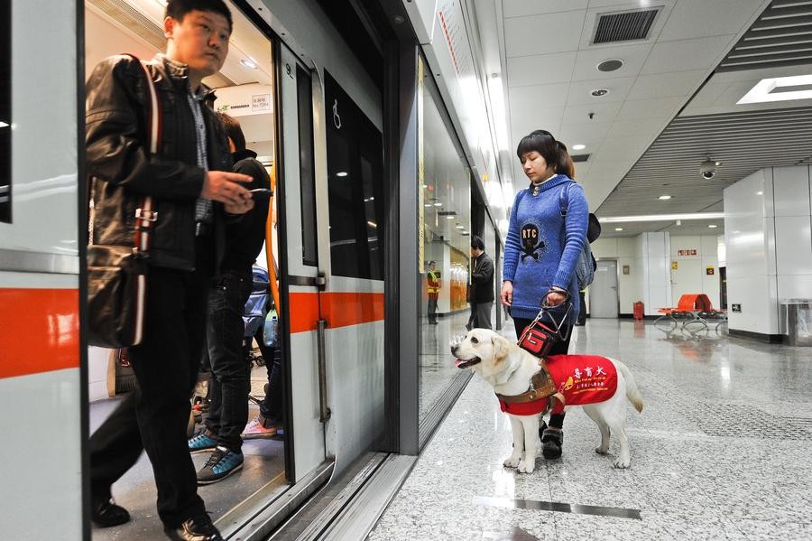 Chen Xin attend pour prendre un métro avec l'aide de son chien-guide, le 1er avril à Shanghai. [Photo / Xinhua]