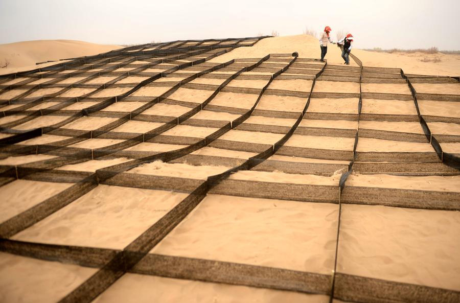 Des villageois plantent des haloxylons ammodendrons dans une zone désertique séparée en terrasses par des filets de nylon dans le comté de Linze, dans la province du Gansu, dans le nord-ouest de la Chine, jeudi. [Photo/Xinhua ]