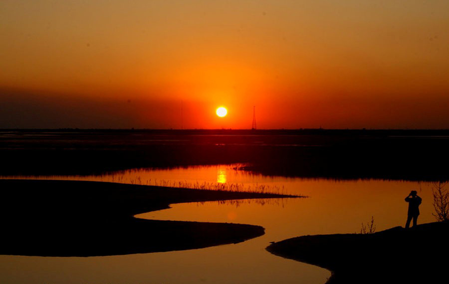 La zone humide du delta du Fleuve Jaune dans la ville de Dongying, dans la Province du Shandong, le 2 octobre 2009.